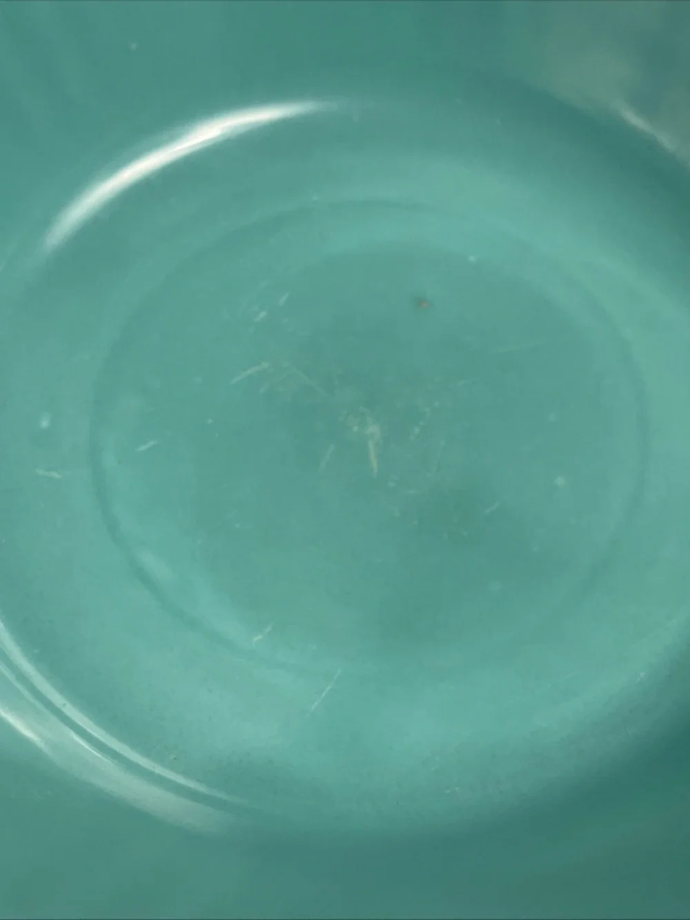Vintage Homer Laughlin aqua/teal mixing bowl with Apple Tree pattern